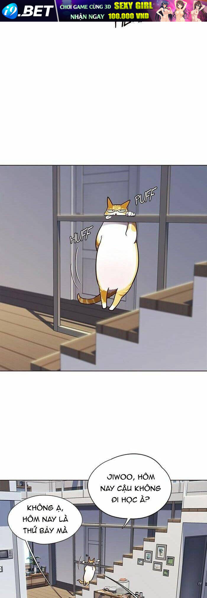 Hoá Thân Thành Mèo - Chapter 55 - Page 12