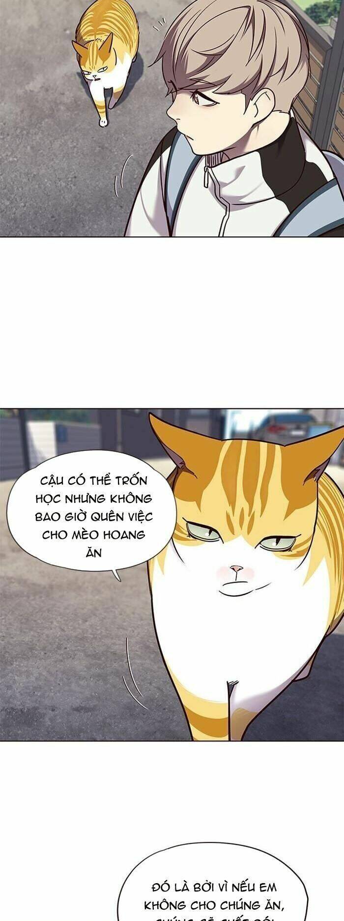 Hoá Thân Thành Mèo - Chapter 55 - Page 15