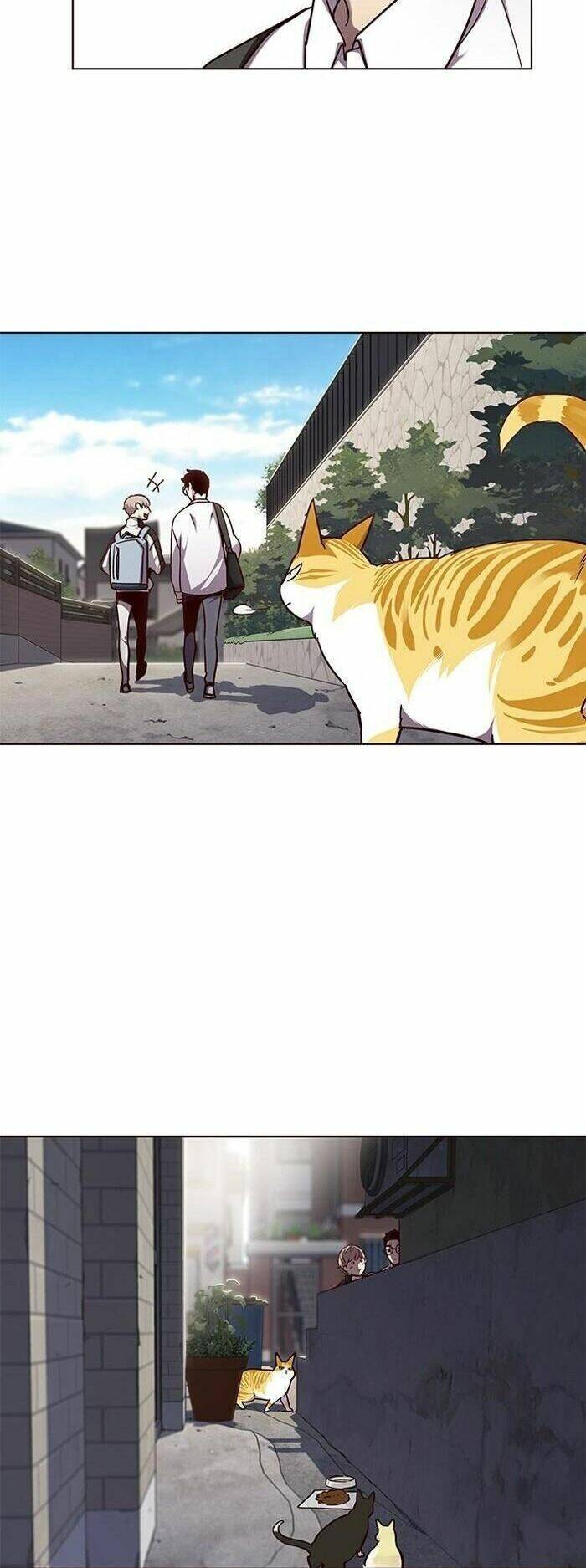 Hoá Thân Thành Mèo - Chapter 55 - Page 21