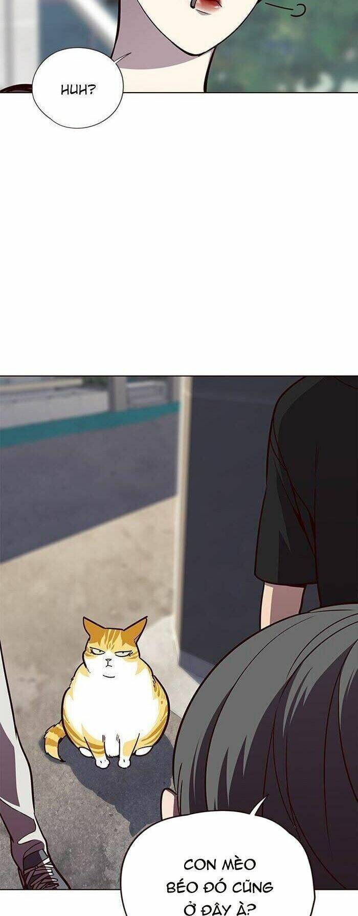 Hoá Thân Thành Mèo - Chapter 55 - Page 40