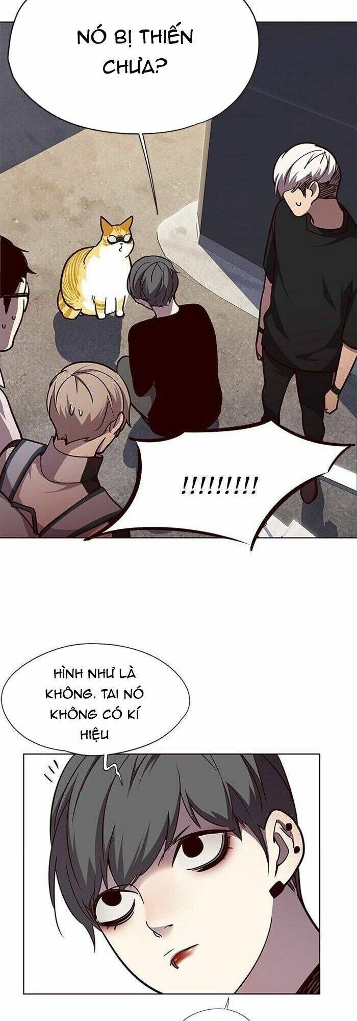Hoá Thân Thành Mèo - Chapter 55 - Page 44