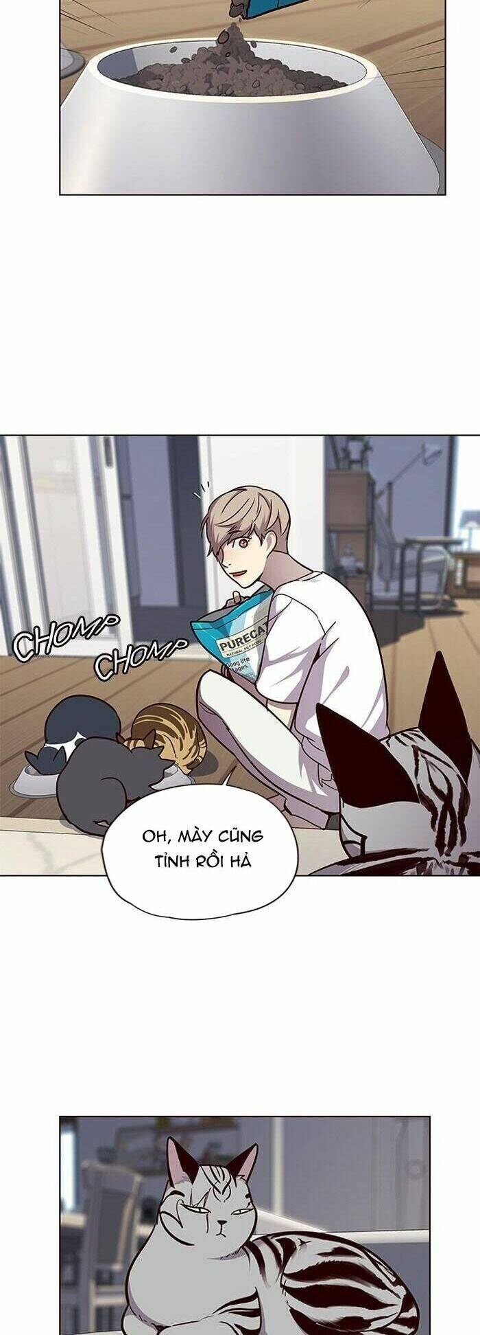Hoá Thân Thành Mèo - Chapter 55 - Page 9