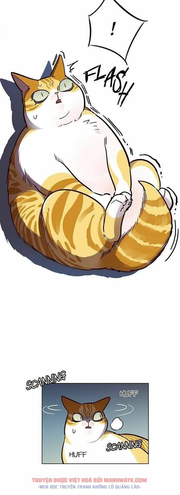 Hoá Thân Thành Mèo - Chapter 56 - Page 10
