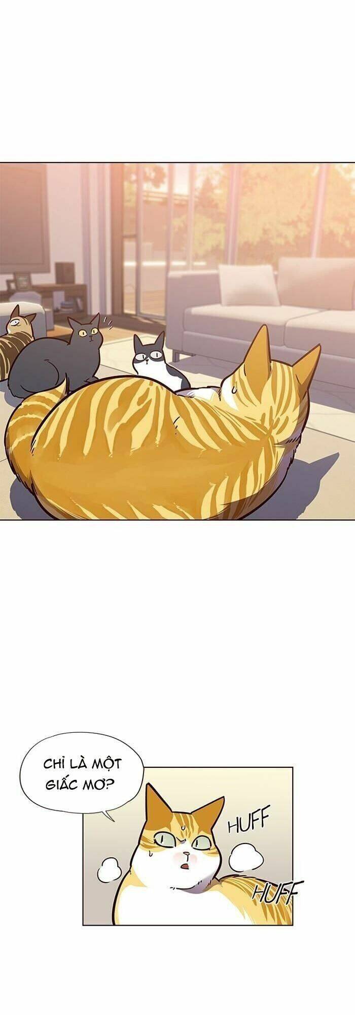 Hoá Thân Thành Mèo - Chapter 56 - Page 11