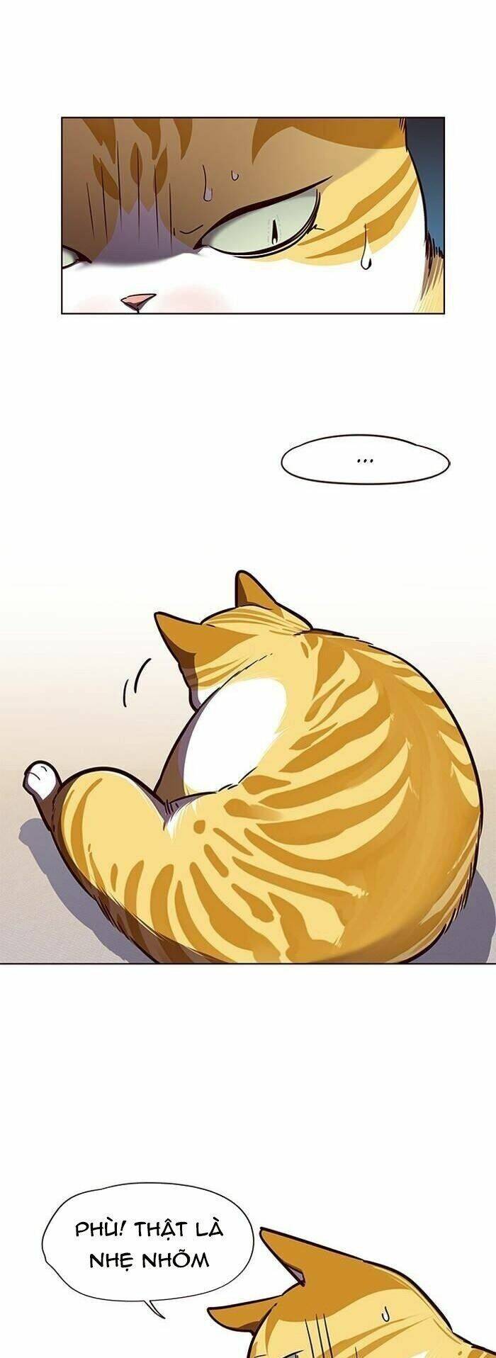 Hoá Thân Thành Mèo - Chapter 56 - Page 12