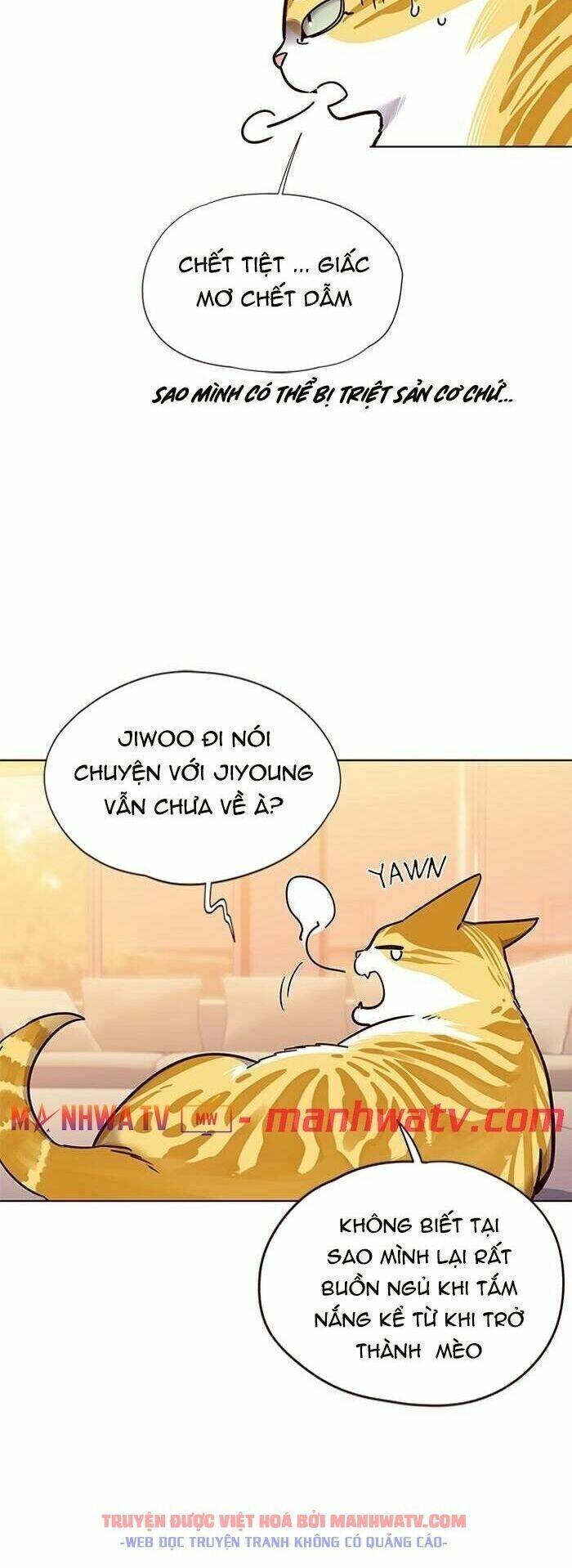 Hoá Thân Thành Mèo - Chapter 56 - Page 13
