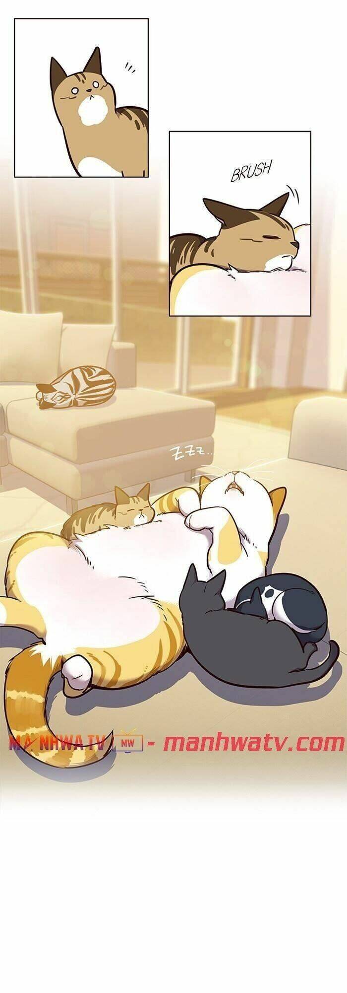 Hoá Thân Thành Mèo - Chapter 56 - Page 14