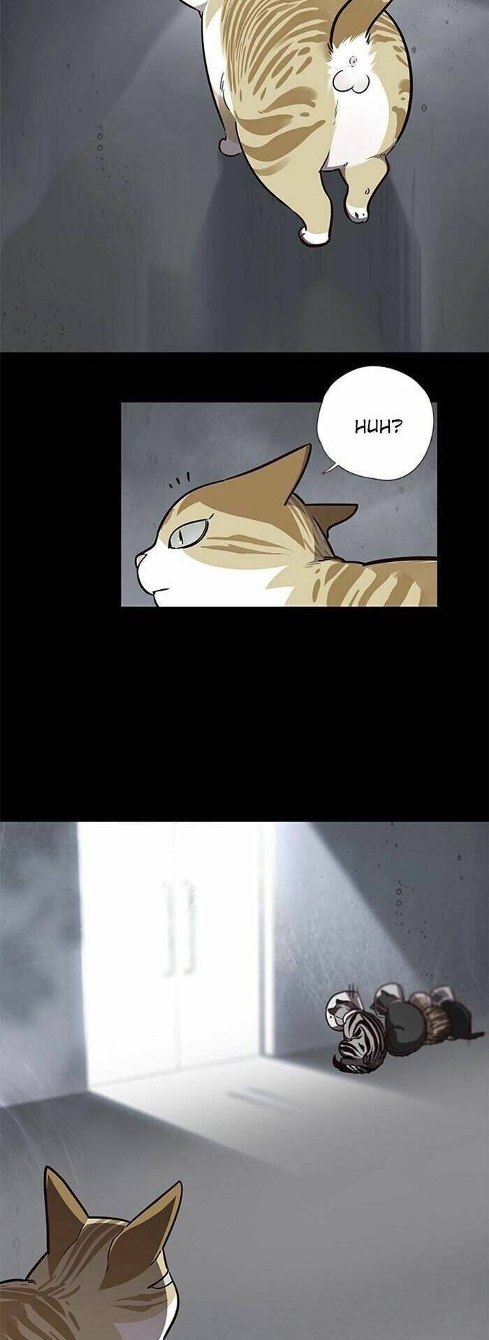 Hoá Thân Thành Mèo - Chapter 56 - Page 3