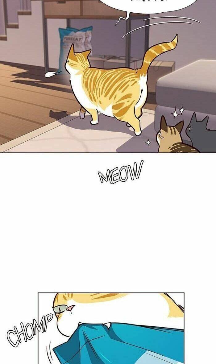 Hoá Thân Thành Mèo - Chapter 56 - Page 36