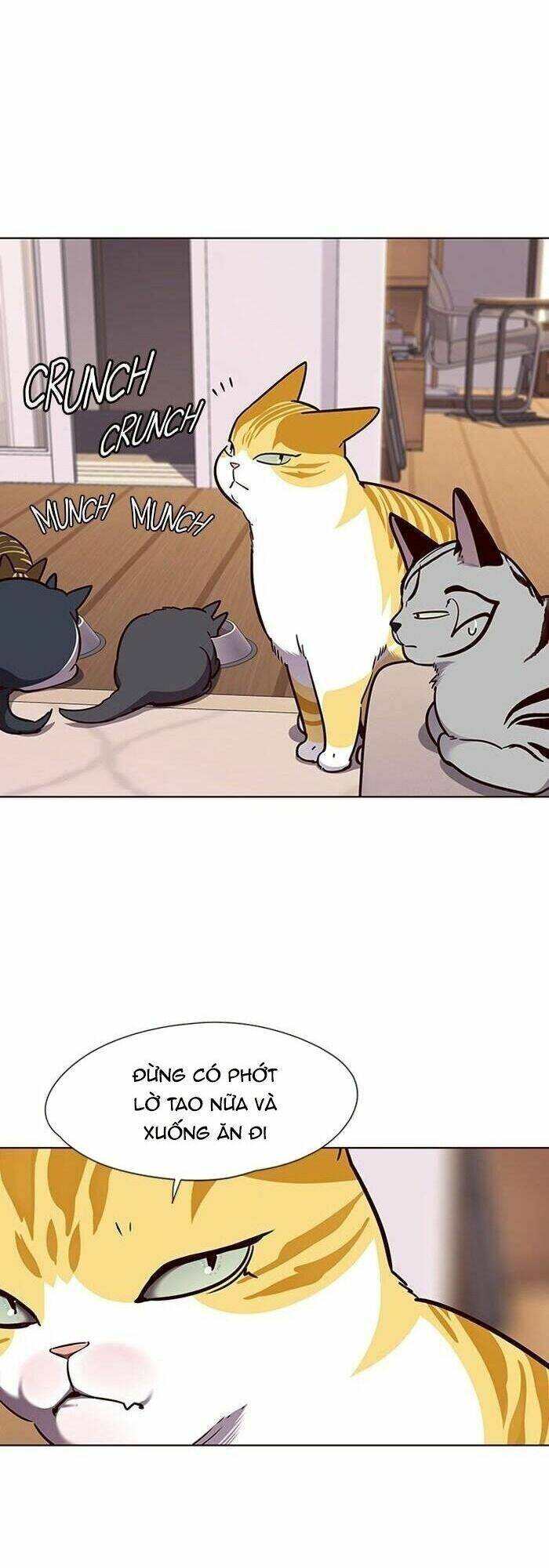 Hoá Thân Thành Mèo - Chapter 56 - Page 38
