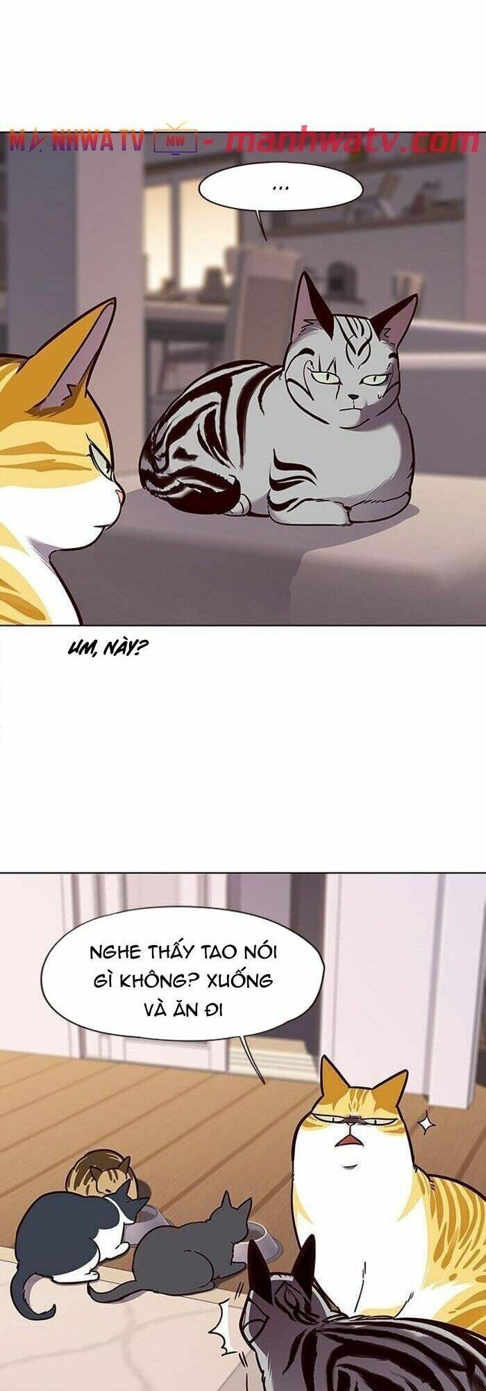 Hoá Thân Thành Mèo - Chapter 56 - Page 39