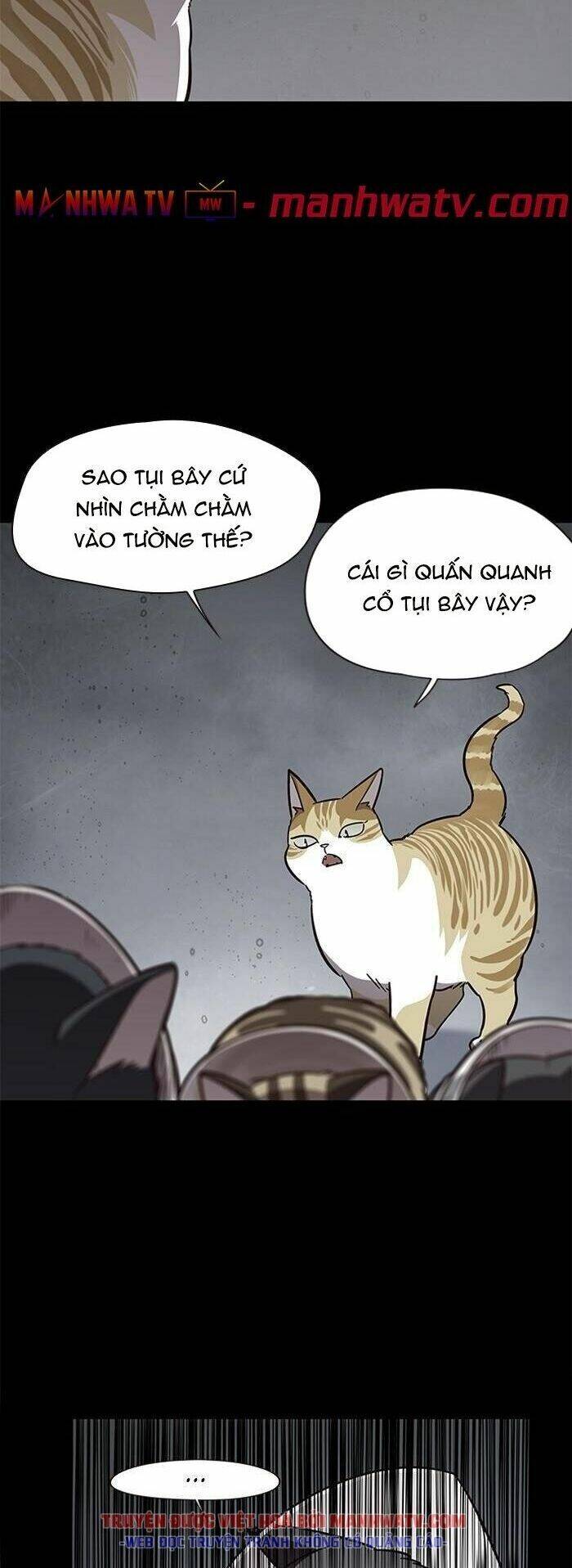 Hoá Thân Thành Mèo - Chapter 56 - Page 4