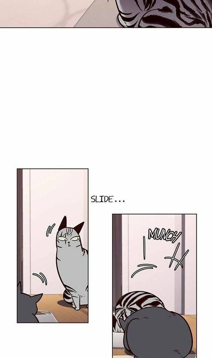 Hoá Thân Thành Mèo - Chapter 56 - Page 40