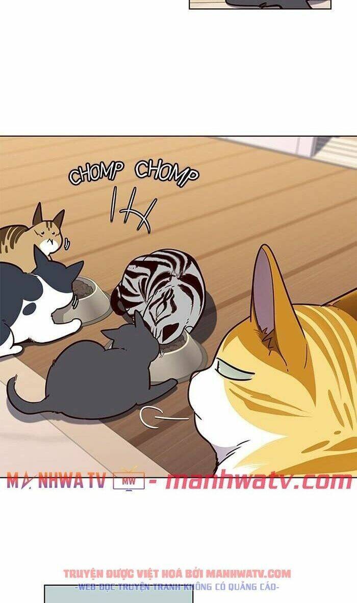 Hoá Thân Thành Mèo - Chapter 56 - Page 41