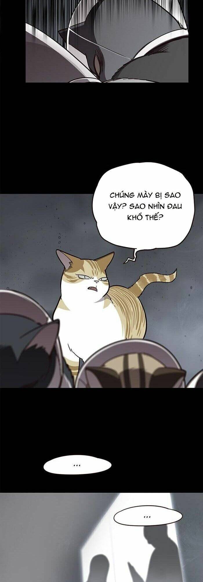 Hoá Thân Thành Mèo - Chapter 56 - Page 5