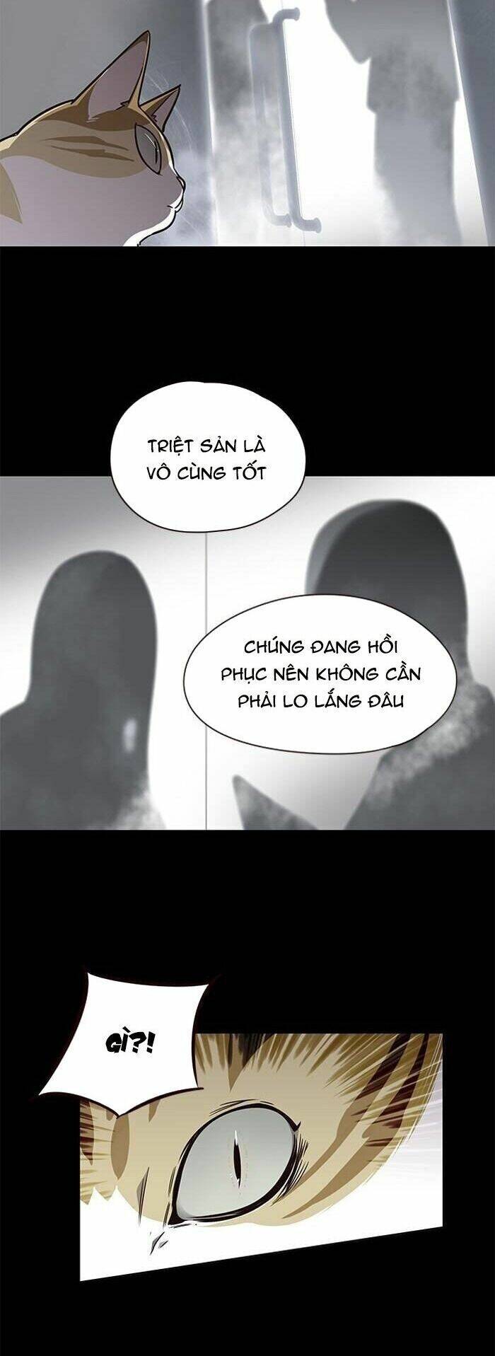 Hoá Thân Thành Mèo - Chapter 56 - Page 6