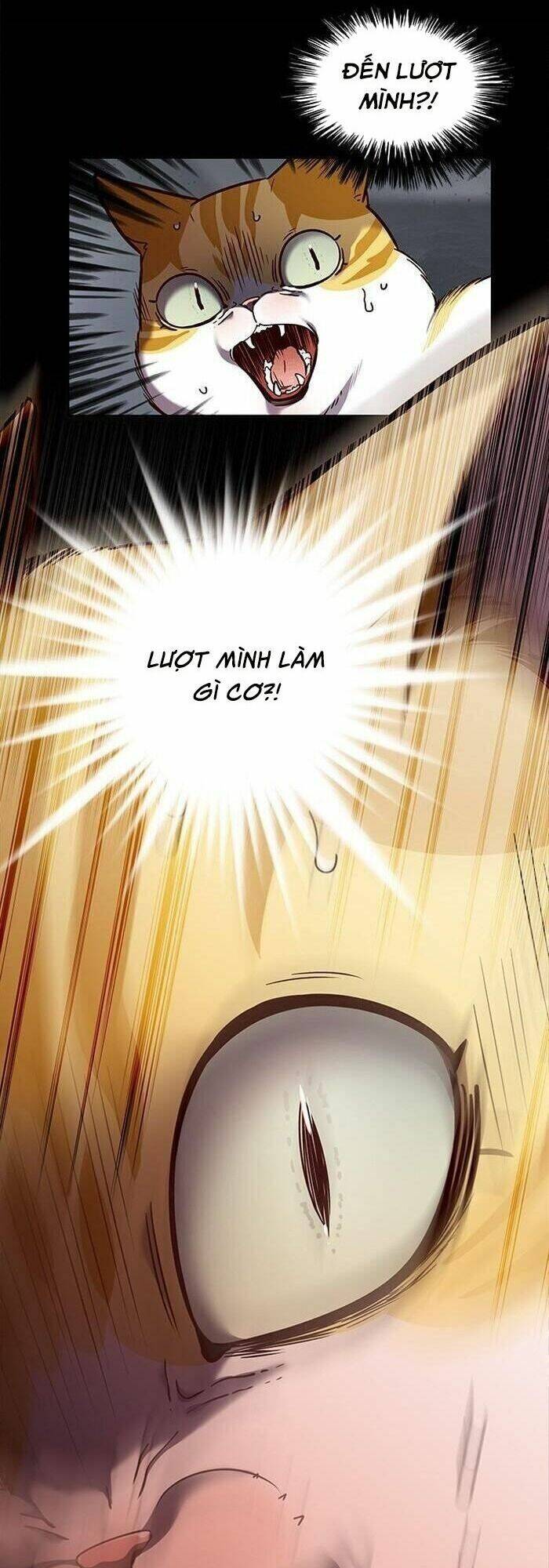 Hoá Thân Thành Mèo - Chapter 56 - Page 8