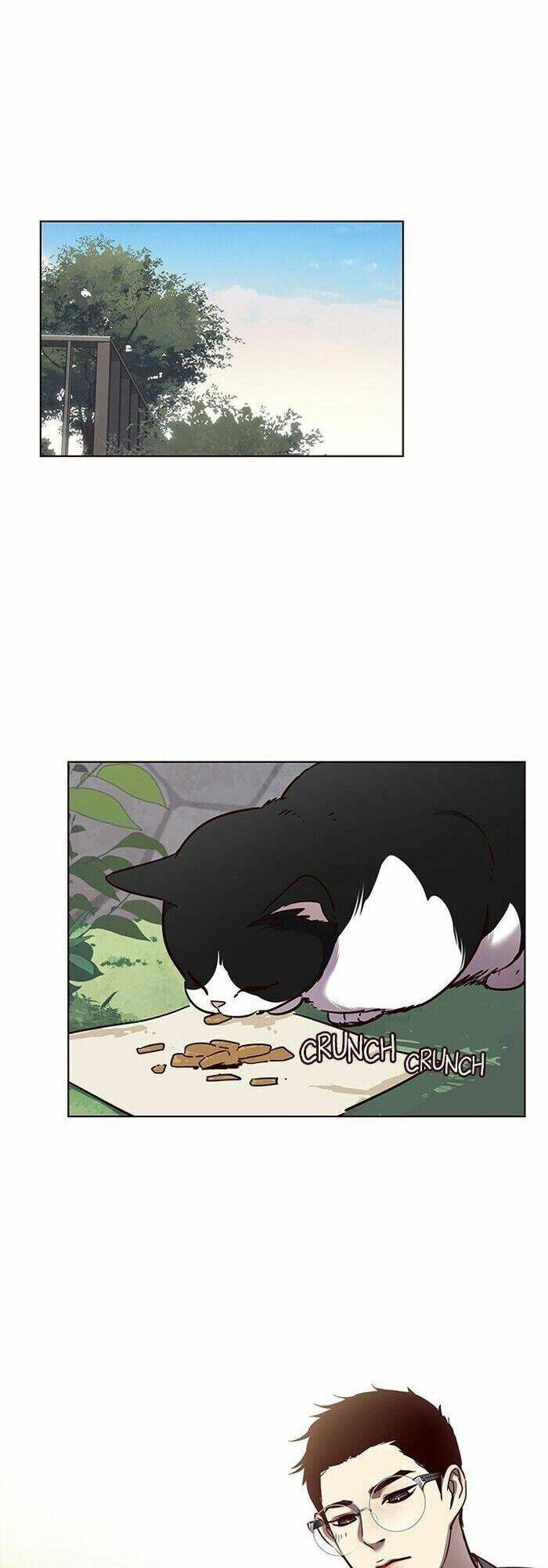 Hoá Thân Thành Mèo - Chapter 57 - Page 11