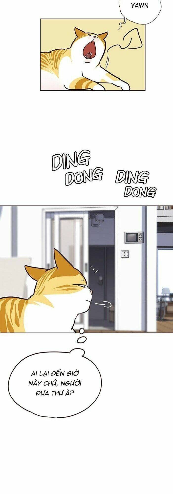 Hoá Thân Thành Mèo - Chapter 57 - Page 45
