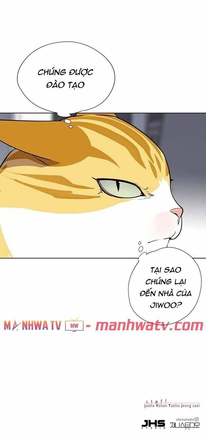 Hoá Thân Thành Mèo - Chapter 57 - Page 53