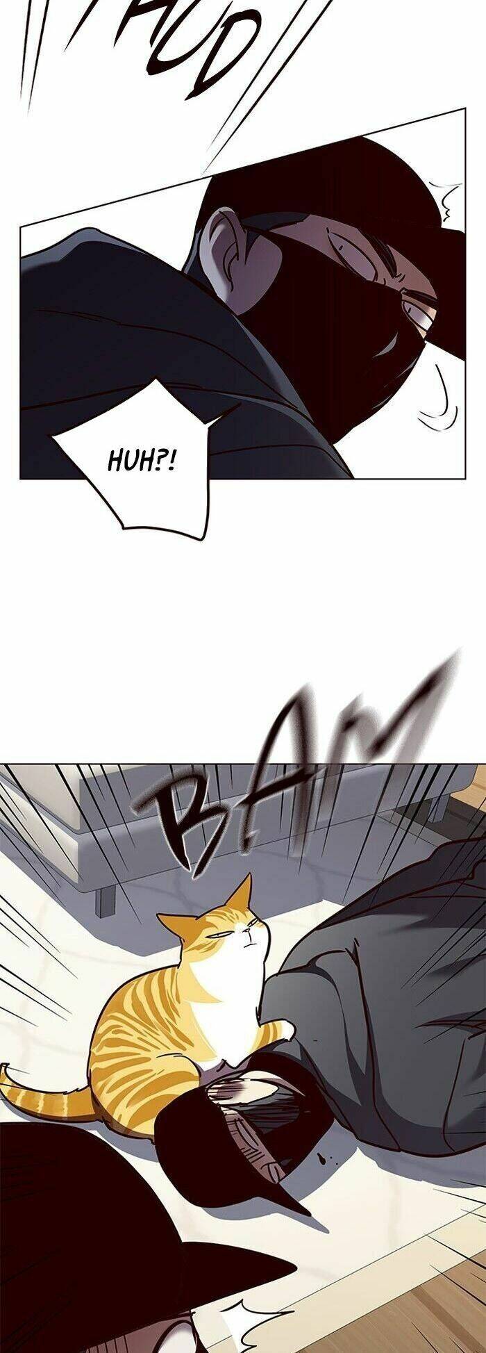 Hoá Thân Thành Mèo - Chapter 58 - Page 19