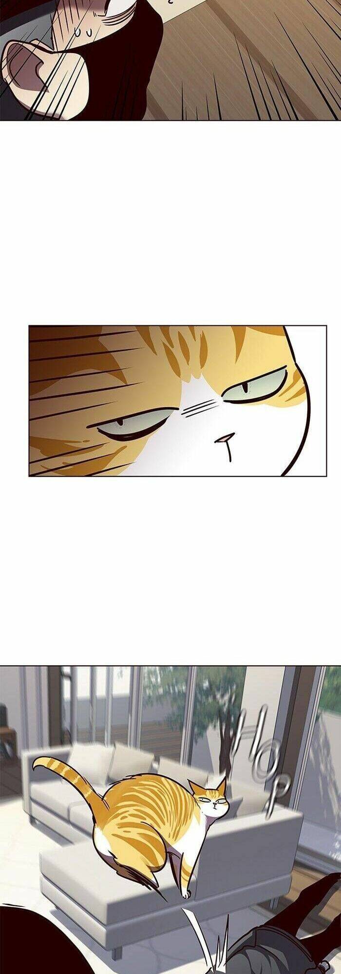 Hoá Thân Thành Mèo - Chapter 58 - Page 20