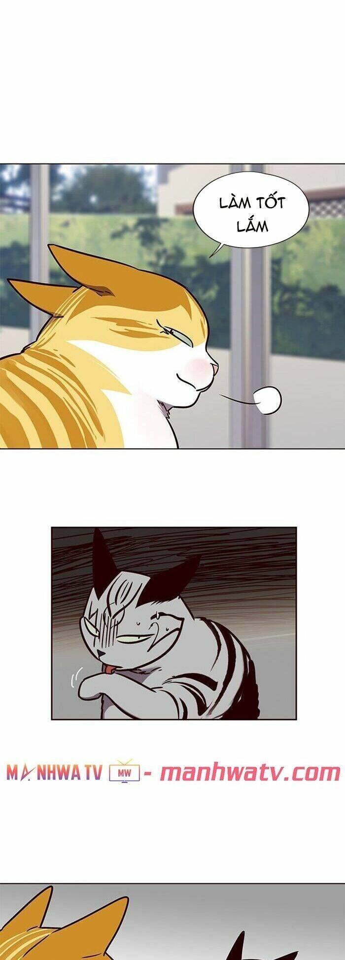 Hoá Thân Thành Mèo - Chapter 58 - Page 24
