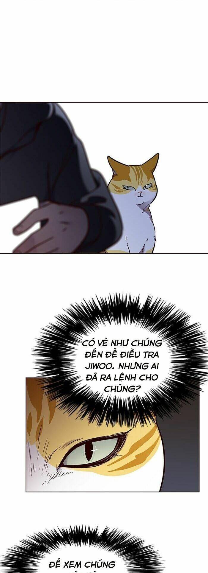 Hoá Thân Thành Mèo - Chapter 58 - Page 3