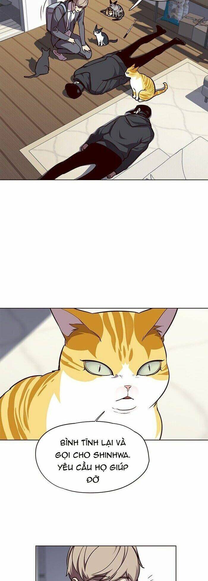 Hoá Thân Thành Mèo - Chapter 58 - Page 31