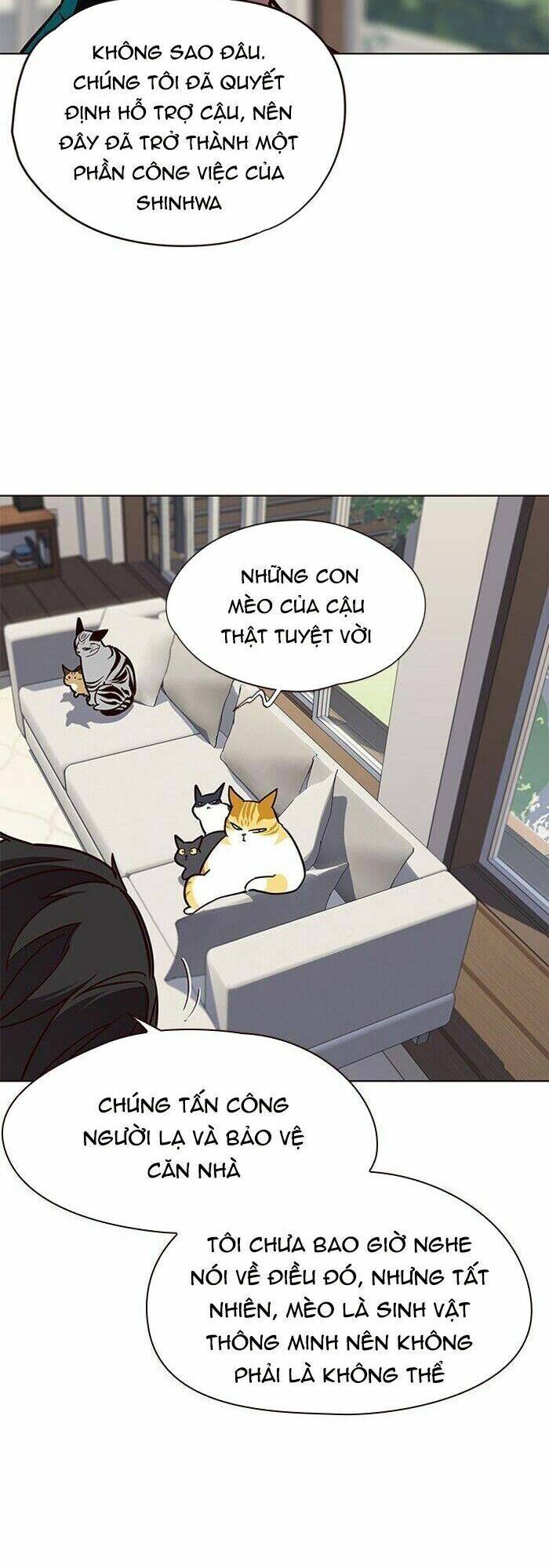 Hoá Thân Thành Mèo - Chapter 58 - Page 35