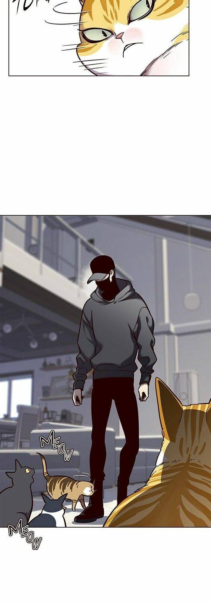 Hoá Thân Thành Mèo - Chapter 58 - Page 5