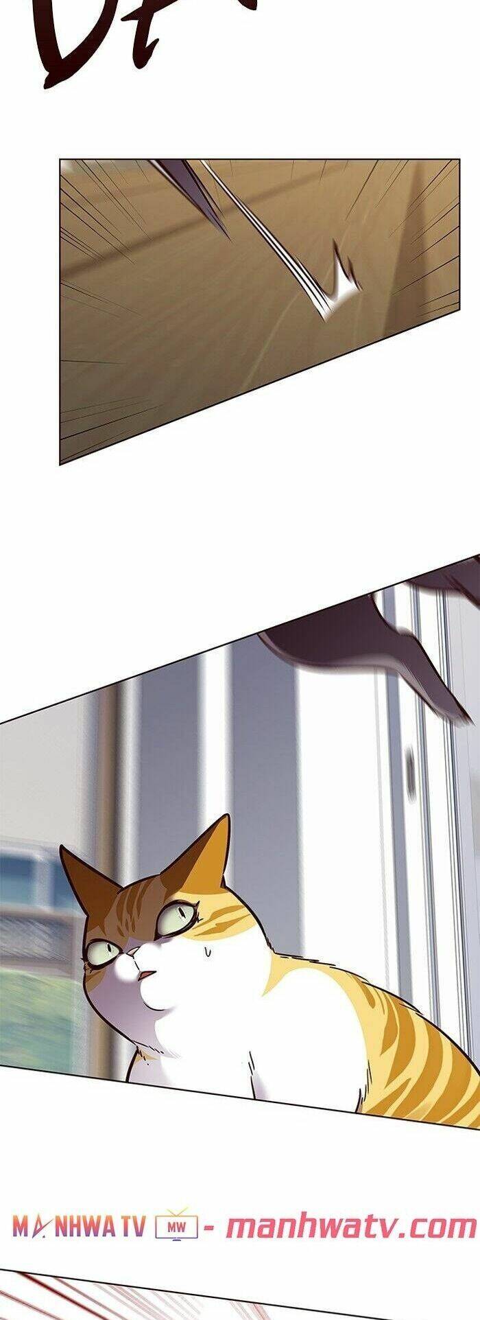Hoá Thân Thành Mèo - Chapter 58 - Page 9