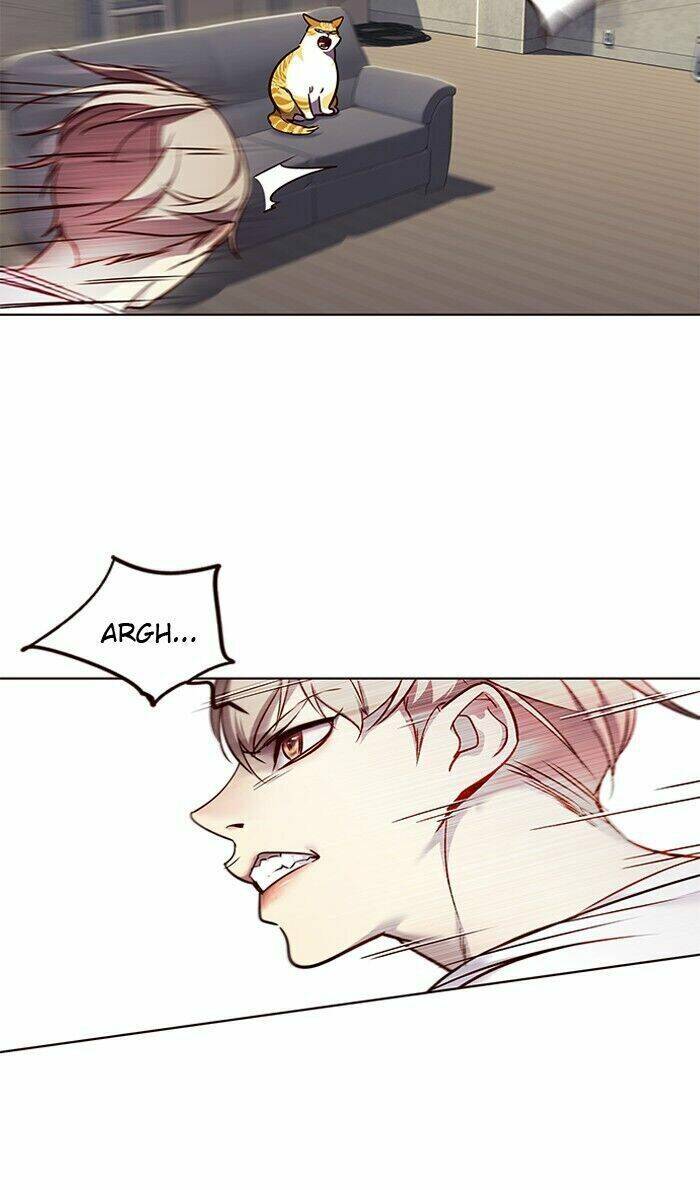 Hoá Thân Thành Mèo - Chapter 59 - Page 40