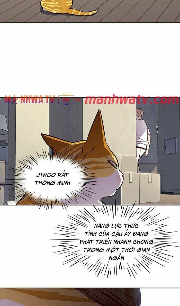 Hoá Thân Thành Mèo - Chapter 59 - Page 50