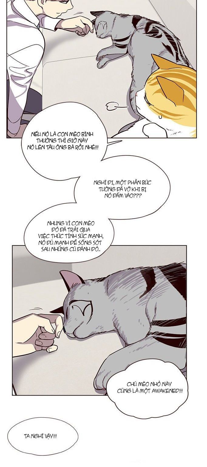 Hoá Thân Thành Mèo - Chapter 6 - Page 3