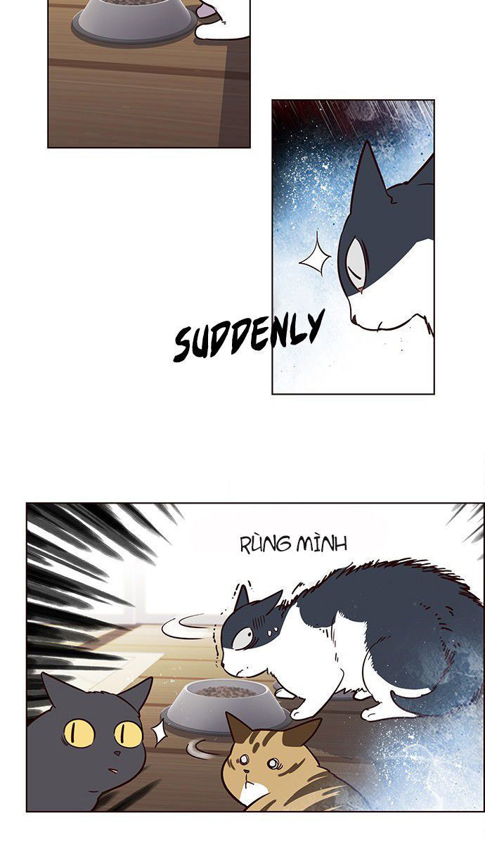 Hoá Thân Thành Mèo - Chapter 6 - Page 33
