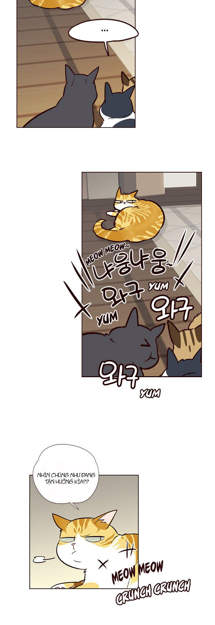 Hoá Thân Thành Mèo - Chapter 6 - Page 38