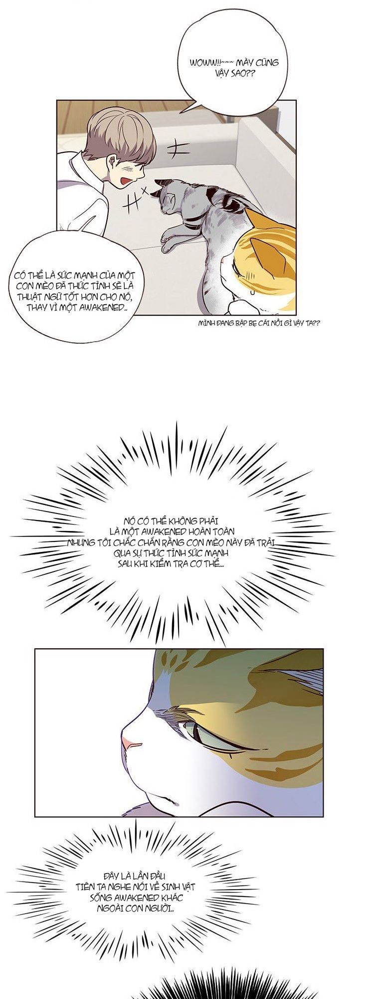 Hoá Thân Thành Mèo - Chapter 6 - Page 4