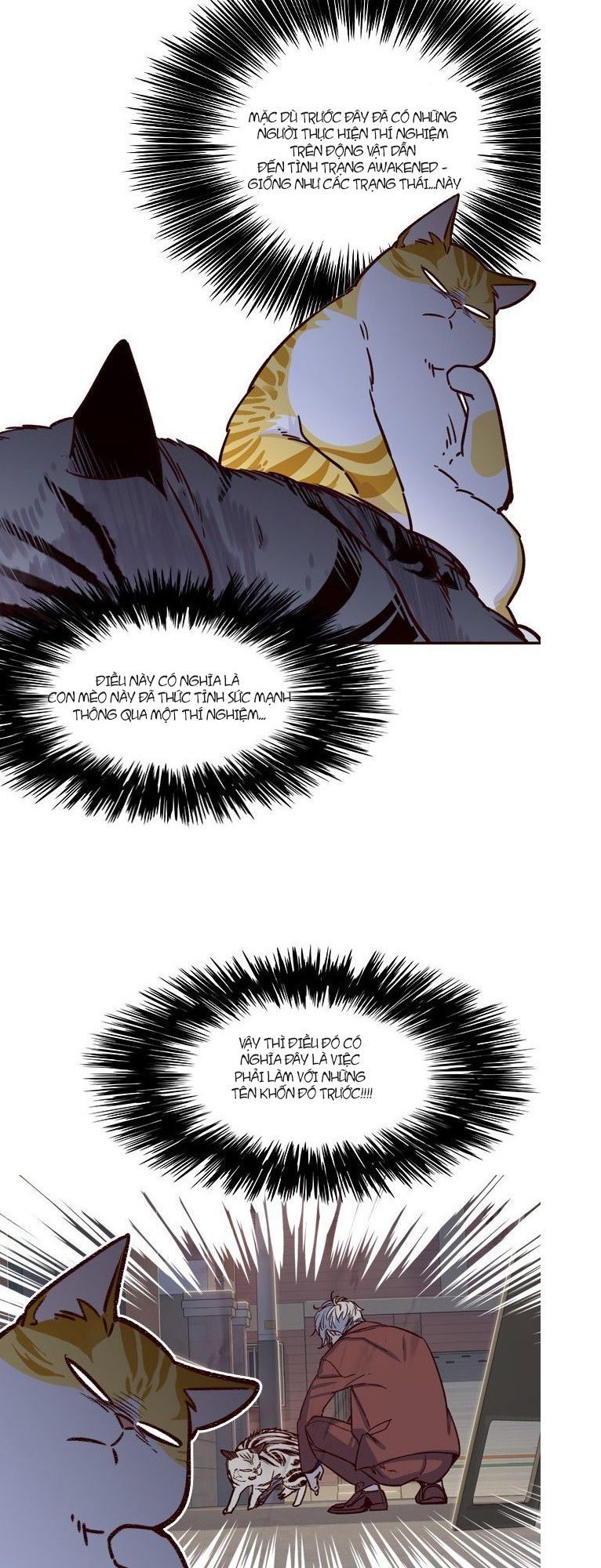 Hoá Thân Thành Mèo - Chapter 6 - Page 5