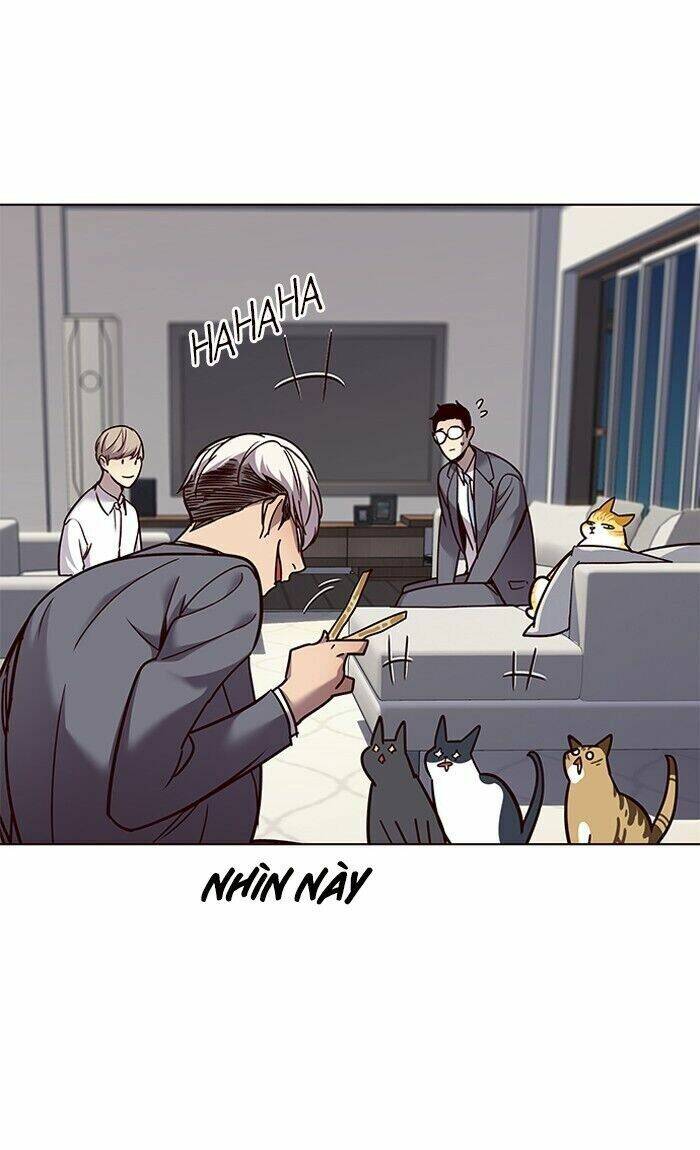 Hoá Thân Thành Mèo - Chapter 60 - Page 45