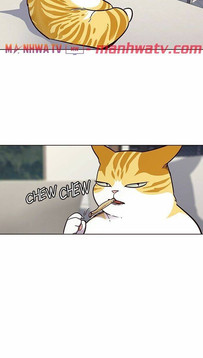 Hoá Thân Thành Mèo - Chapter 60 - Page 47