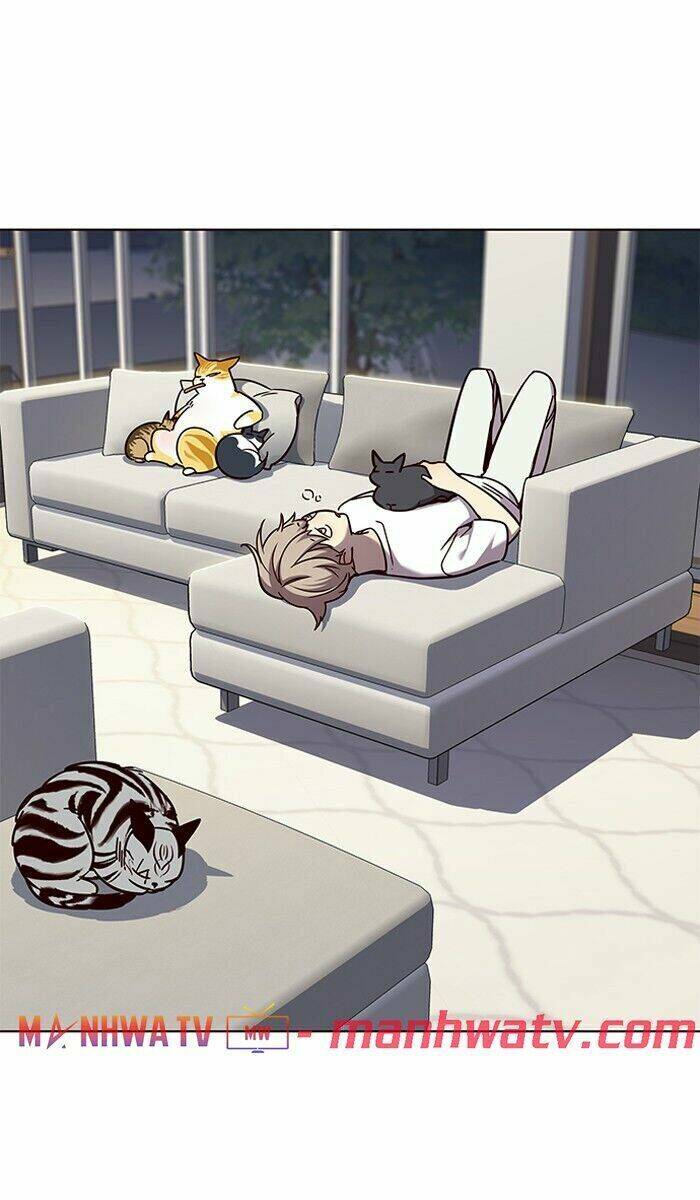 Hoá Thân Thành Mèo - Chapter 61 - Page 67