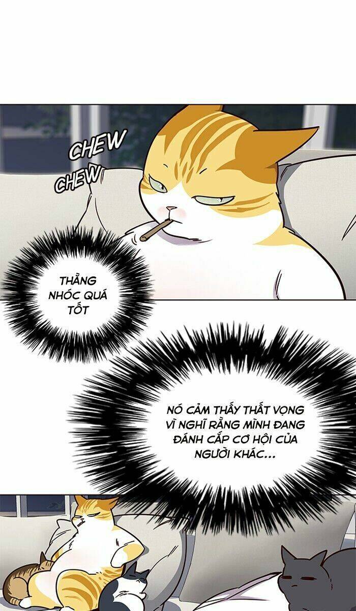 Hoá Thân Thành Mèo - Chapter 61 - Page 68