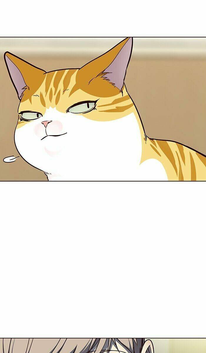 Hoá Thân Thành Mèo - Chapter 61 - Page 78