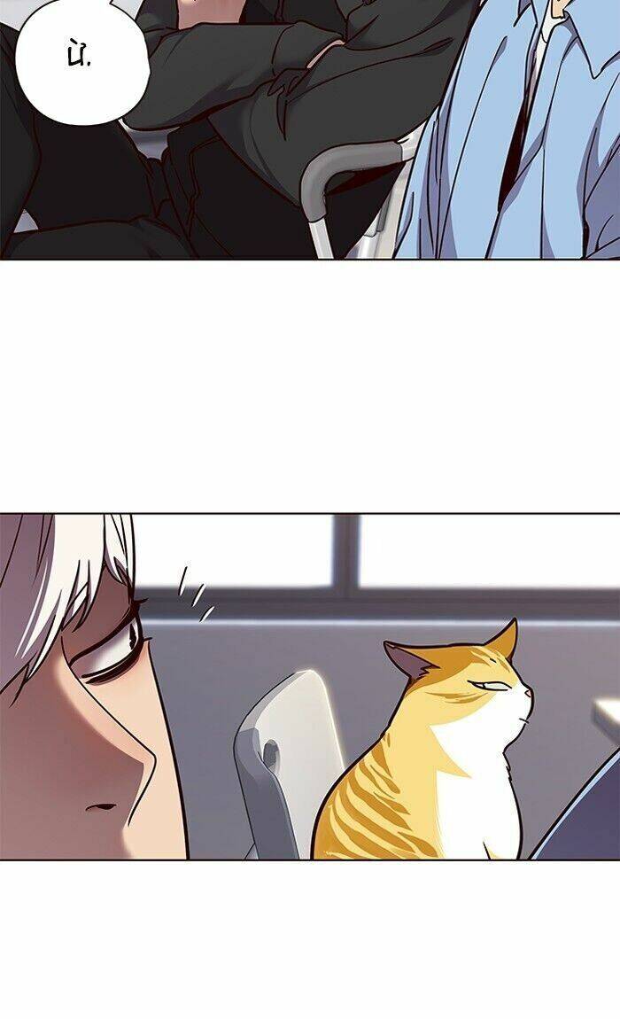 Hoá Thân Thành Mèo - Chapter 62 - Page 55