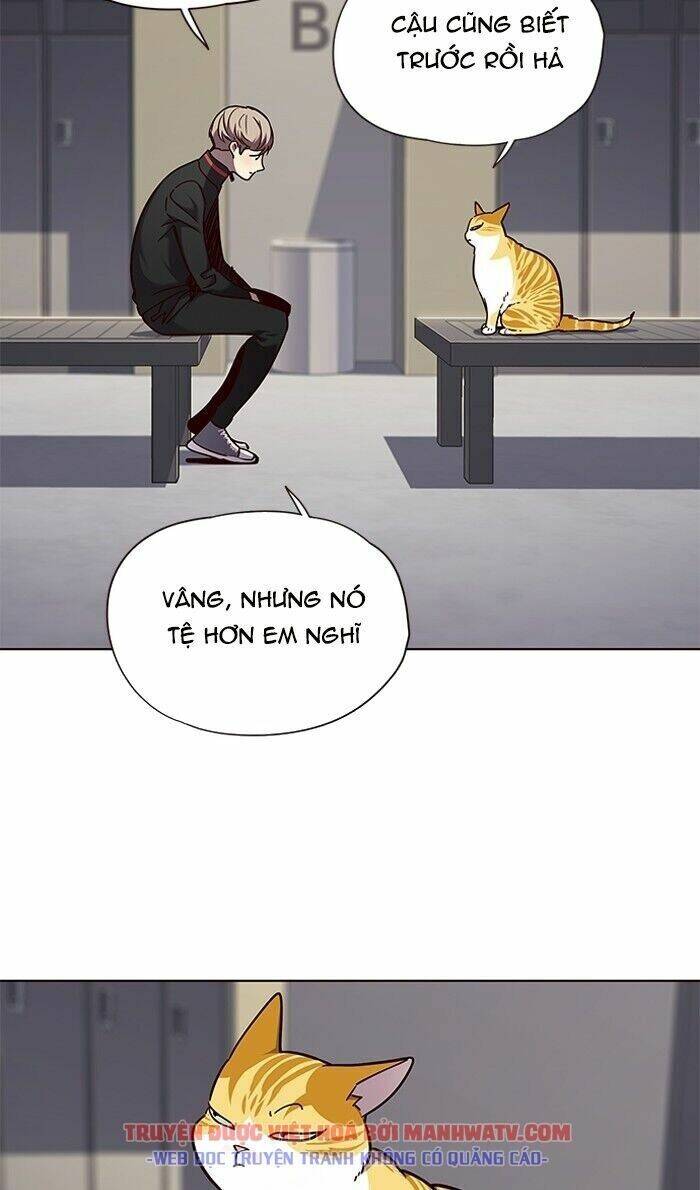 Hoá Thân Thành Mèo - Chapter 63 - Page 39