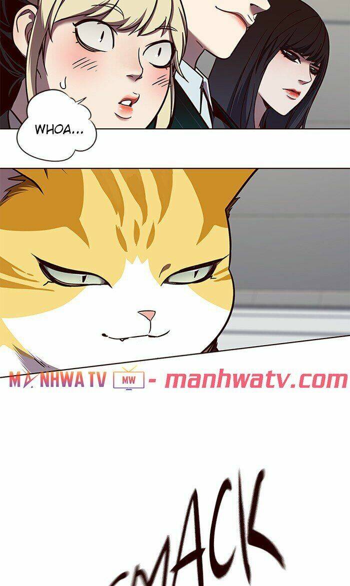 Hoá Thân Thành Mèo - Chapter 64 - Page 28