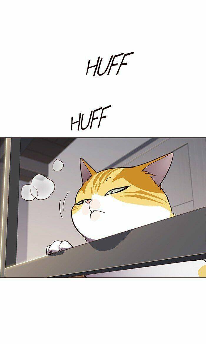 Hoá Thân Thành Mèo - Chapter 64 - Page 51
