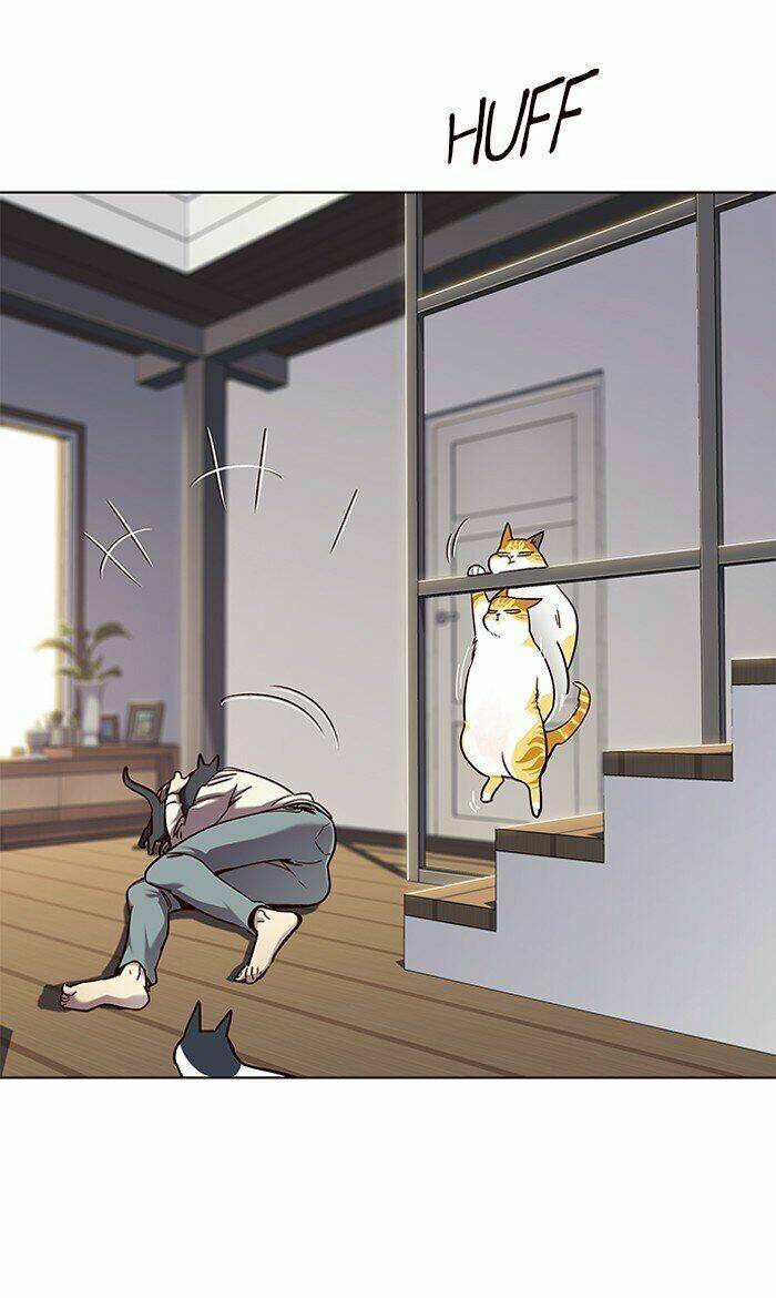 Hoá Thân Thành Mèo - Chapter 64 - Page 52