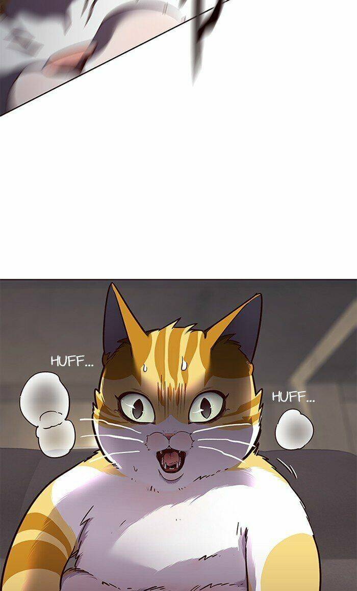 Hoá Thân Thành Mèo - Chapter 65 - Page 10